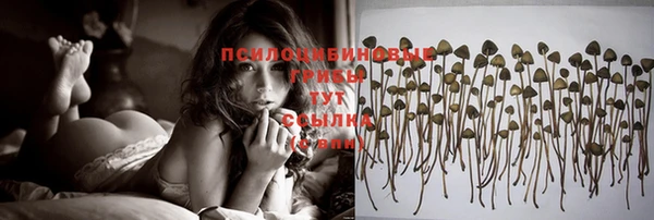 кокс Покровск