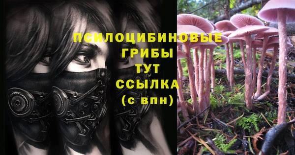 соль курить ск Аркадак