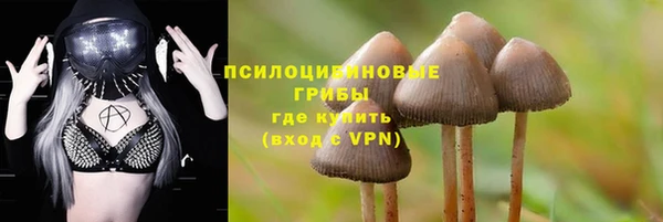 MESCALINE Арсеньев