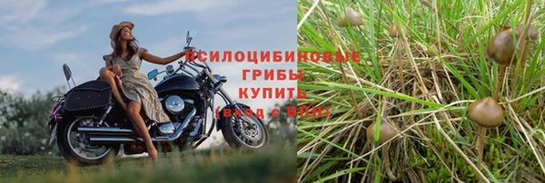 MESCALINE Арсеньев